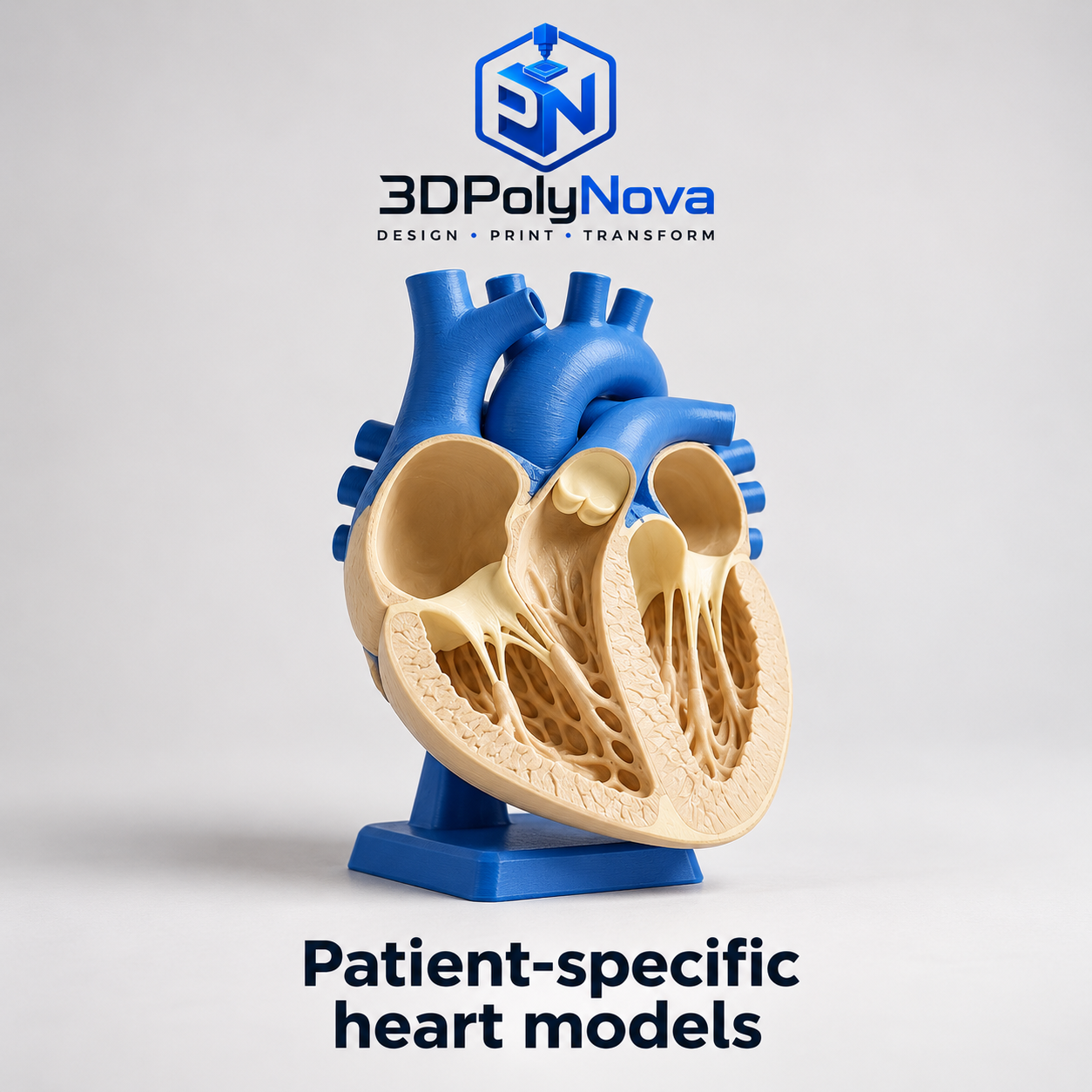 Healthcare & Educational Models: Patient-specific heart models-1