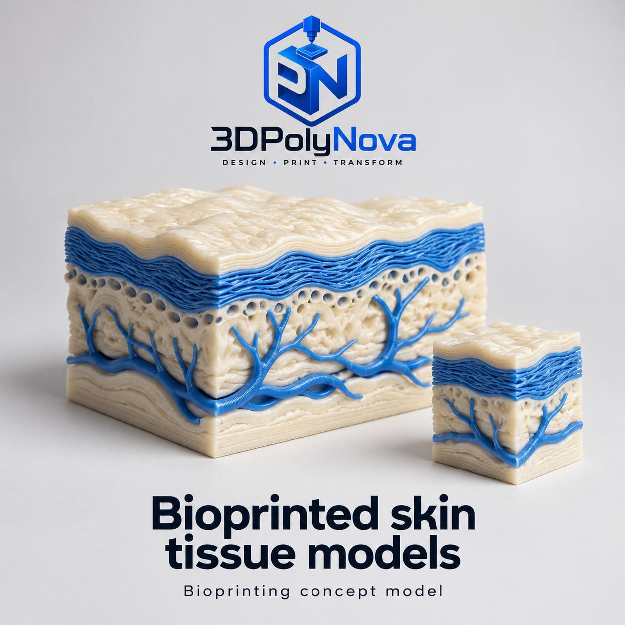 Healthcare & Educational Models: Bioprinted skin tissue models-6