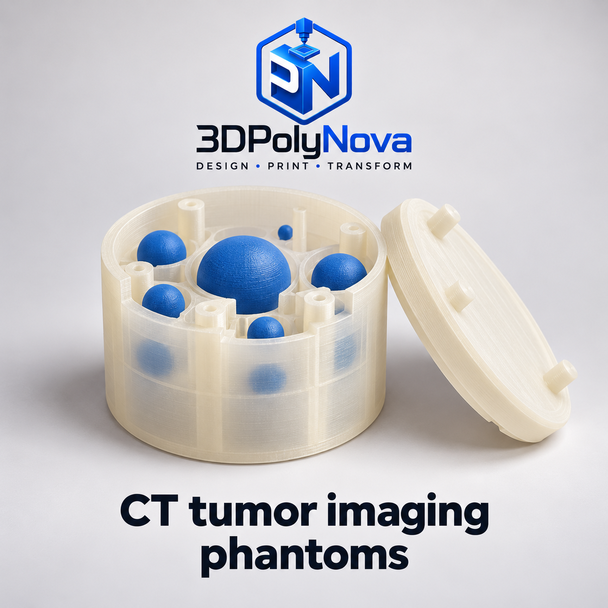 Healthcare & Educational Models: CT tumor imaging phantoms-4
