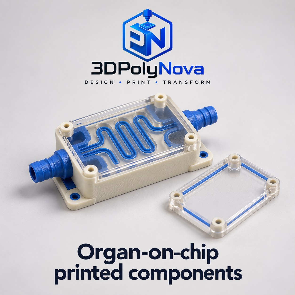 Healthcare & Educational Models: Organ-on-chip printed components-8