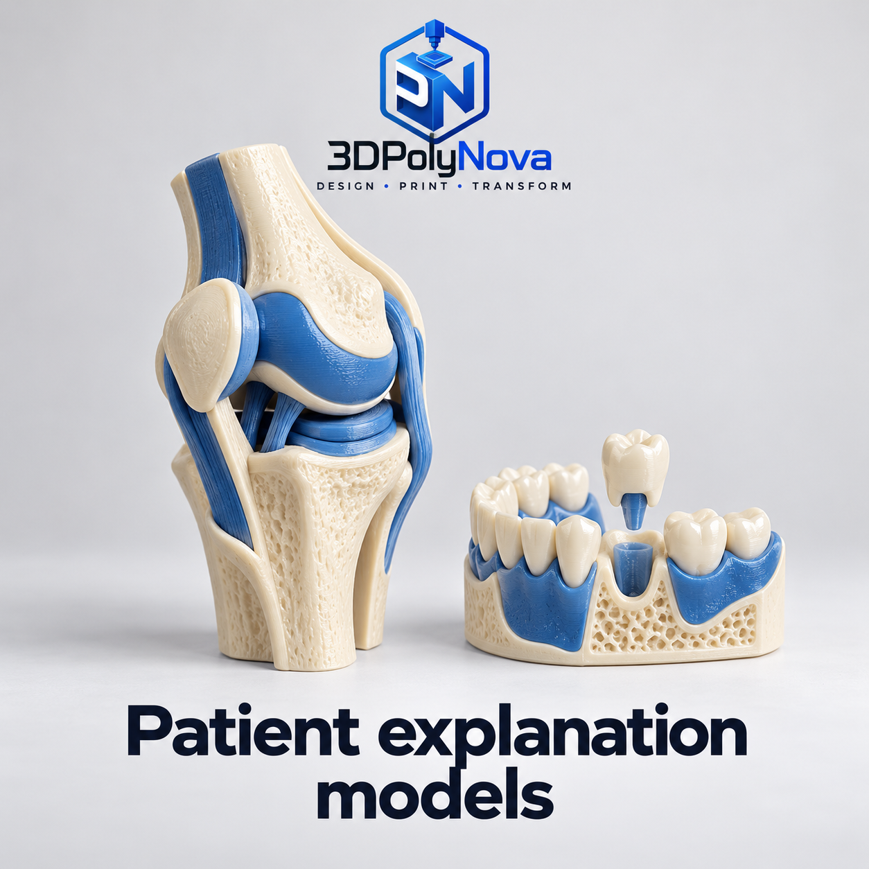 Healthcare & Educational Models: Patient explanation models-3