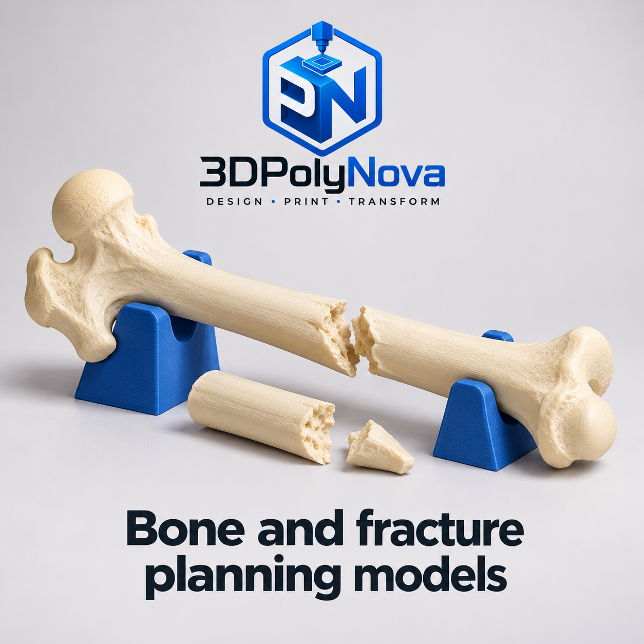 Healthcare & Educational Models: Bone and fracture planning models-10