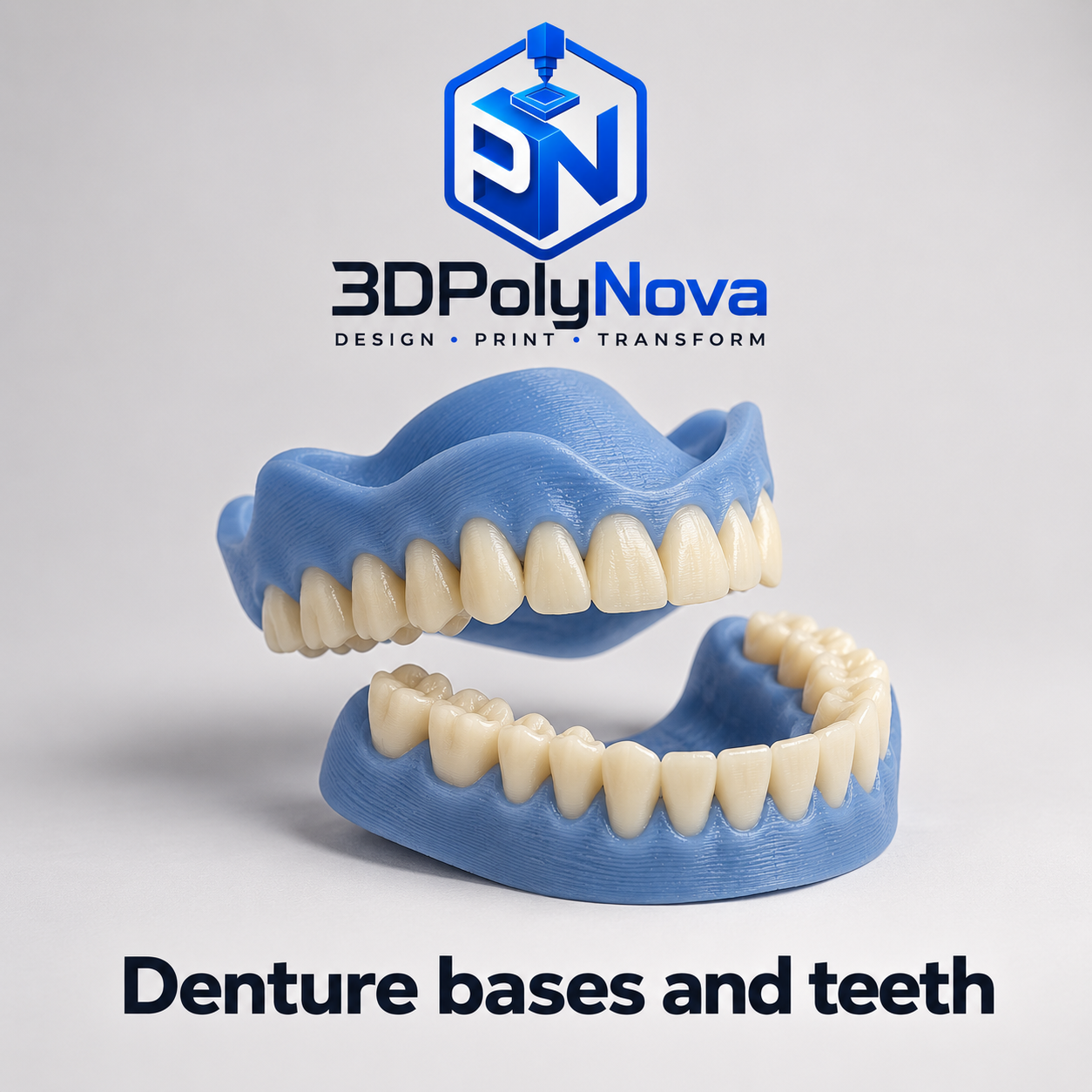 Healthcare & Educational Models: Denture bases and teeth-5