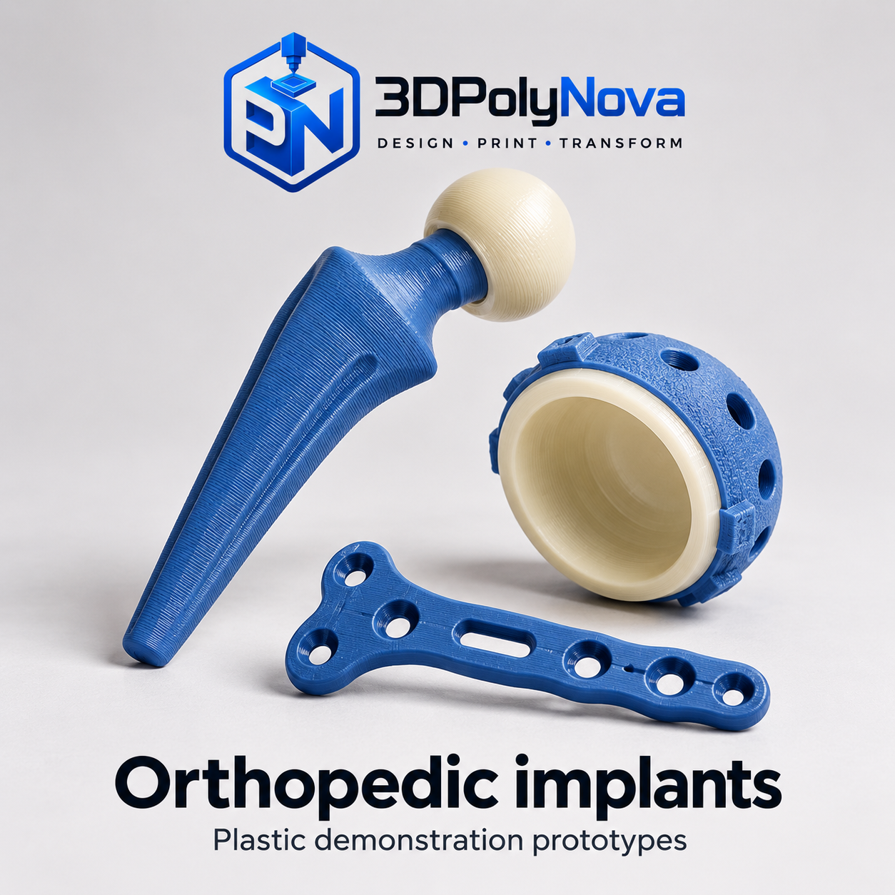 Healthcare & Educational Models: Orthopedic implants-7